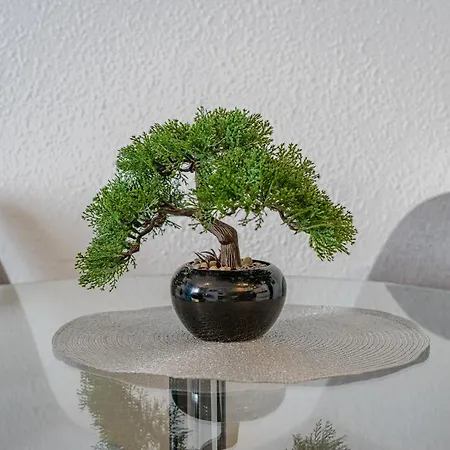 Apartmán Hermitage Homes Dls *